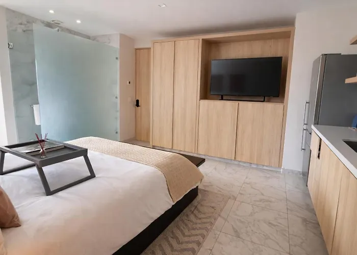 Apartment Premier Twin With Exclusive Rooftop Cabo San Lucas