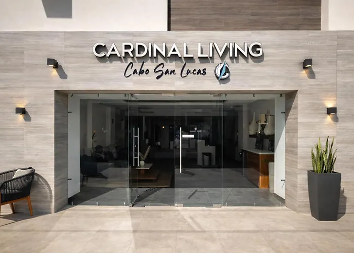 Premier Twin With Exclusive Rooftop * Cabo San Lucas